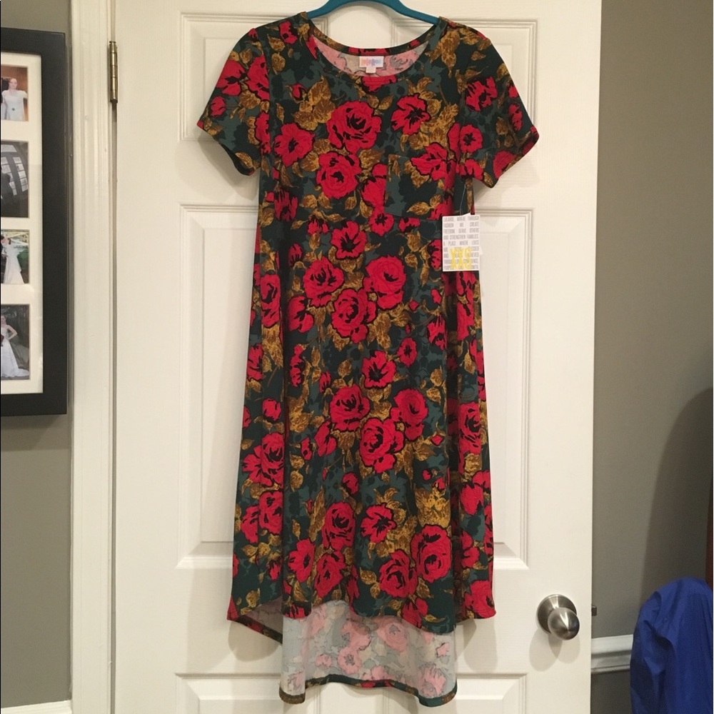 LulaRoe Carly Dress